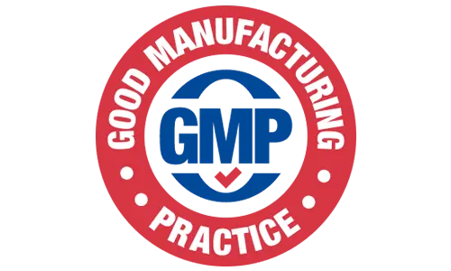 renew dental support gmp certified